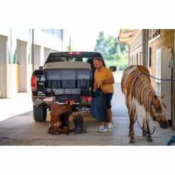 Baule Box Per Gancio Traino MENABO' MIZAR Per ALCOR 3 E 4 -Negozio Bici corsa economico baule box per gancio traino menabo mizar per alcor 3 e 4 12