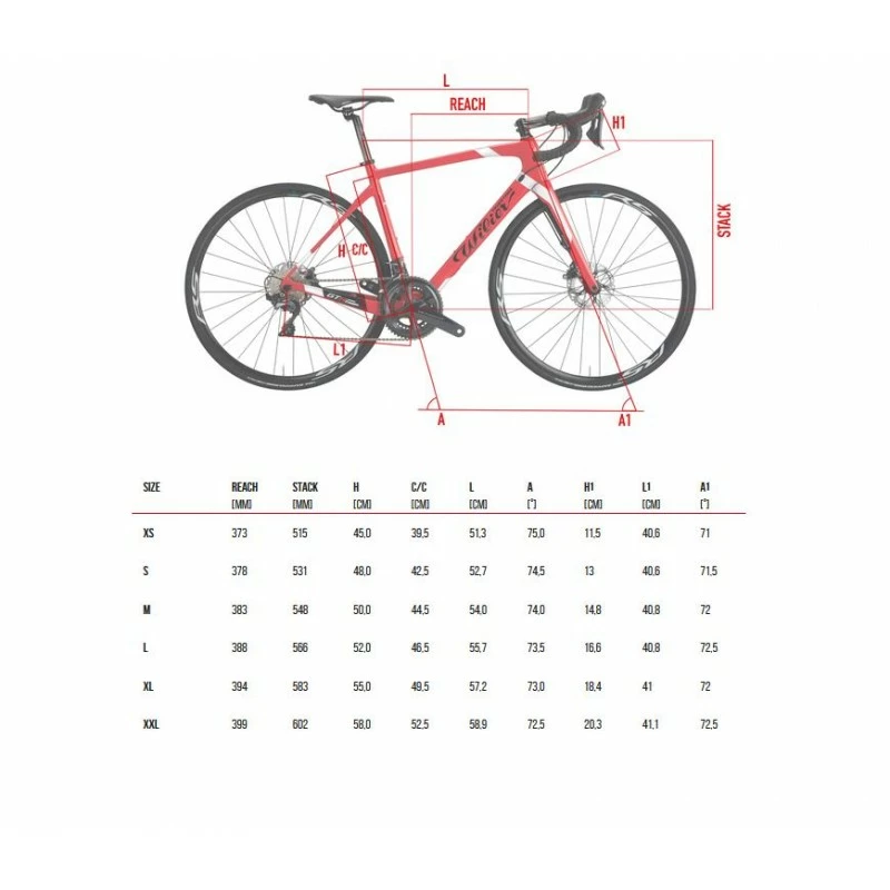 Bici Da Corsa In Carbonio WILIER GTR TEAM Campagnolo Centaur 11v 2 Bici Da Corsa In Carbonio WILIER GTR TEAM Campagnolo Centaur 11v - immagine 2